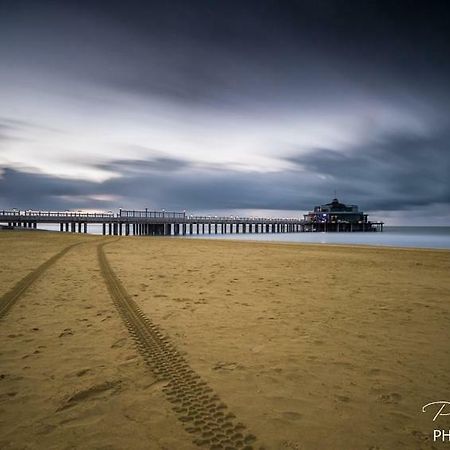 Seapearl Blankenberge Lejlighed Eksteriør billede